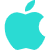 iOS 下载图标